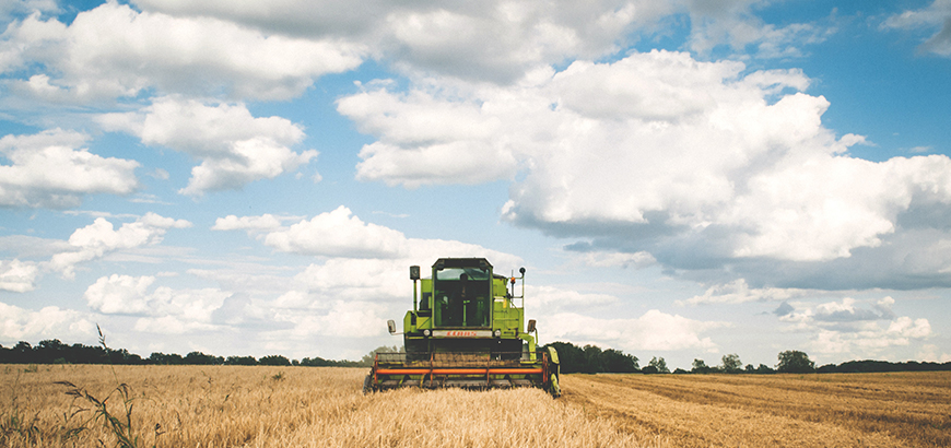 France Bans Metam-Sodium Sprays